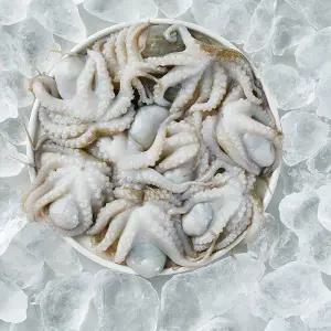 태국 냉동 활쭈꾸미 80-100(12-13미), 100up(8-9미) 1kg 골라담기