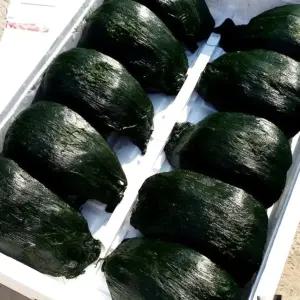 2026 고흥 찰진 비단 매생이 개별진공포장