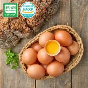 [양계장청년]난각번호 1번 상황버섯 먹여 키운 무항생제 계란 자연방사 HACCP 유정란