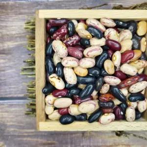 국산 강낭콩 혼합강낭콩 300g