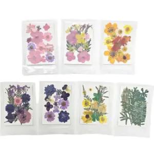 압화 드라이플라워 7종 압화꽃 생화 잎 누름꽃