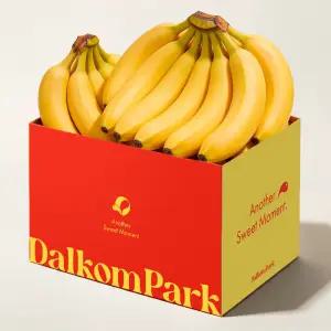 라이트슈가 바나나 1개입 1.2kg 내외