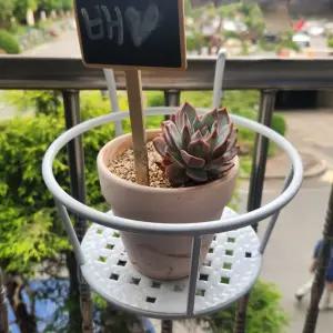 정리대 철제 아파트 걸이 화분 베란다 화이트 화분