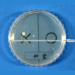 바이러스 검출 손에 있는 세균검사 5인 키트 방과후교실 과학교육키트 놀이