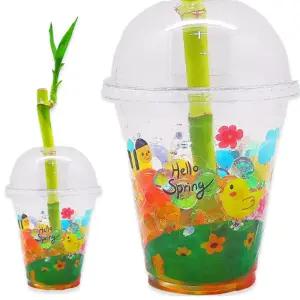 개운죽 키우기 키트 10인세트 공기정화 식물 DIY 체험