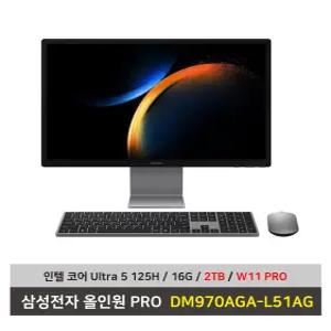 삼성전자 올인원 PRO DM970AGA-L51AG 울트라5 SSD2TB교체/16G/Win11 Pro설치 일체형PC - KW