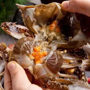 국내산 연평도 암꽃게장 2kg