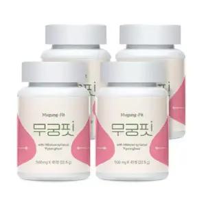 무궁핏 500mg 45정 4개