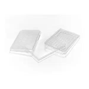 에버그린 사이언티픽 290-8126-03L 폴로필렌 뚜껑 미처리 무균 24개 웰(105개 팩)