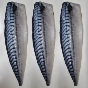 뼈없는 노르웨이 고등어 필렛 10개 1.5kg 노르웨이산 고등어 순살 고등어 구이 용 생