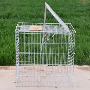 비둘기 조류 케이지 자동문 새덫 비둘기집 사양 포획틀 철망 하우스 참새 트랩 이동장