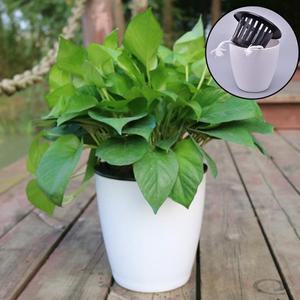 물문화 벽걸이 대야 바구니 보관 홀더 PP 화분, 자동 흡수, 게으른