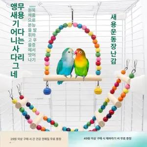 앵무새 그네 무지개 새용품 사다리 애완