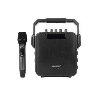 메가라인 MGP-1009 이동식앰프