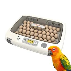 알 PRO 50 DO 디지털 자동 부화기 PX-50 DO