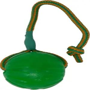 로프 개 장난감 녹색 중형/대형의 스타마크 영원한 펀 볼