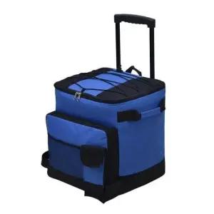 아이스박스가방 편리튼튼 대용량 캐리어 아이스박스 보냉백 (블루 43L
