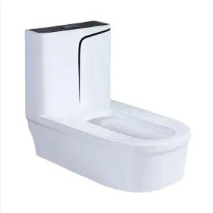 낮은 앉는 화장실 공중 치마형 변기 간이 시골 쪼그려