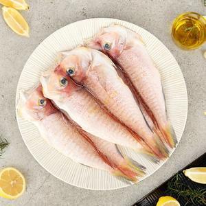 [오초록] 제주 옥돔 5미(650g)_국내산_냉동비축품