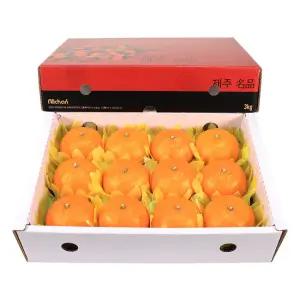 제주 천혜향(특대) 3kg(10~13과)