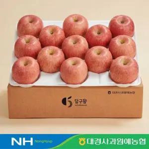 [대경사과원예농협][랜쇼페 추가 12% 쿠폰]]당도선별 경북 못난이사과 3kg 15과내