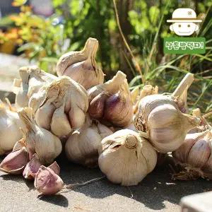 [삼촌밥먹자]무안직송 황토밭 통마늘(남도/대) 1kg 밭마늘