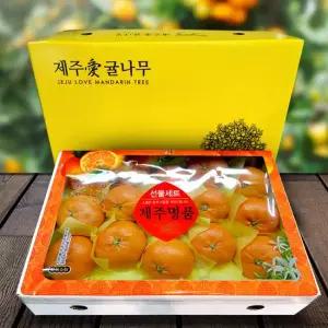 [애 愛)귤] 레드향 선물세트 3kg 16-20과