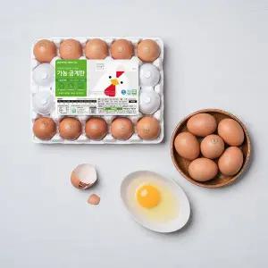 [가농][당일산란/당일발송] 가농 금계란 1+등급 DHA 오메가 특란 40구(무항생제)
