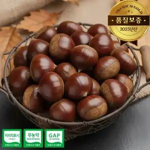 [품질보증] 25년산 햇 공주 부여밤 대자 1kg