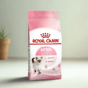 로얄캐닌 키튼 4kg 아기 고양이 사료