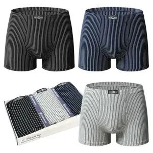 아날도바시니 스트라이프 면 스판 남자팬티 드로즈 3종세트