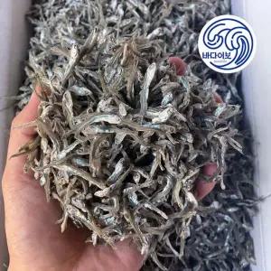 [NS홈쇼핑]바다어보 가이리멸치(실속형) / 밑반찬 볶음멸치 조림멸치 건멸치..[34855121]