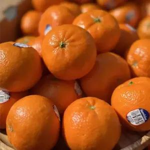 고당도 미국산 만다린 귤 3kg 외