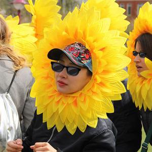 해바라기 꽃 얼굴 가면 파티 체육대회 운동회 응원 행사 용품 무대 선물 머리띠 학예회 인싸템
