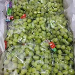 어텀크리스피 씨없는 애플 청포도 1팩당800g 4팩