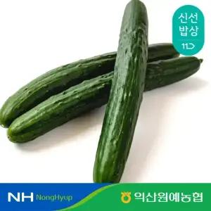 [익산원예농협] 익산 특품 취청오이 3kg (10~17개)