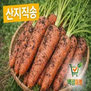 백점마켓 엄선 제주 구좌당근 산지 국산 햇당근 신선한 흙당근_왕_2kg,3k,5k,10k