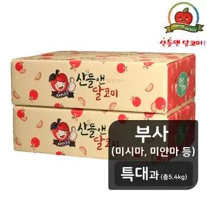 [산들앤][특대과] 산들앤 달코미 세척사과 2.7kg x 2박스(총 5.4kg)