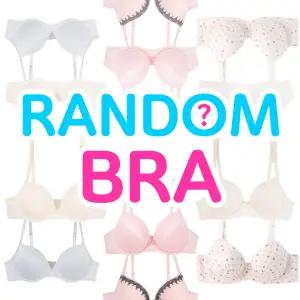 비너스자스민 외 클리어런스 랜덤 브라 ABCDE컵 77465