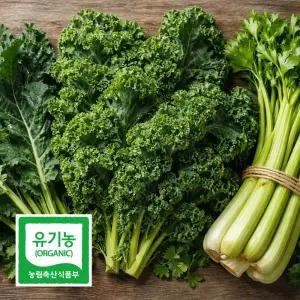 린디 국내산 유기농 샐러리 케일 곱슬케일 무농약 녹즙재료 잎채소