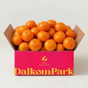 캘리포니아 만다린 감귤 4kg 내외