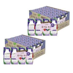 상하목장 유기농 주스 사과블루베리케일, 125ml, 48개