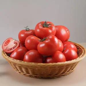 [NS홈쇼핑]소소락 국내산 완숙 토마토 실속형 못난이 주스용 5kg[35595819]