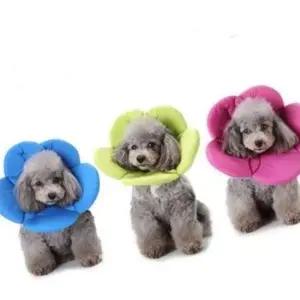 긁기방지 플라워 넥카라S(그린)