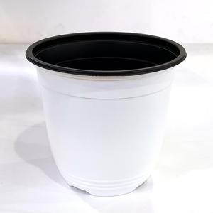 플라스틱화분 이색포트(흰색) 화분 비닐포트 모종 분갈이 분갈이흙