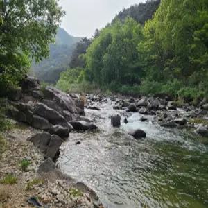 [충북 펜션] 제천 힐링펜션 (제천,단양)