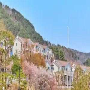 [경북] 당일특가 경주 마우나오션리조트(경북호텔/경주호텔/경주 당일특가 경주 마우나오션리조트)