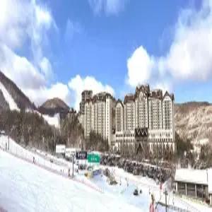 [강원] 용평 리조트(강원호텔/평창호텔/평창용평 리조트)
