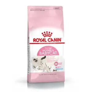 [로얄캐닌] 마더 앤 베이비캣 10kg  고양이사료 + 5천원 상당 사은품
