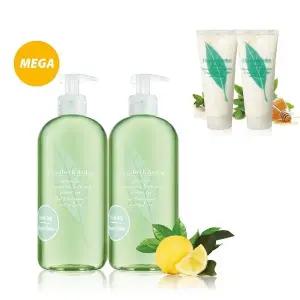 [엘리자베스아덴](의정부점)[1+1]그린티 샤워젤 메가 사이즈(500ml) 1+1 스페셜세트(+그린티 바디크림 2...